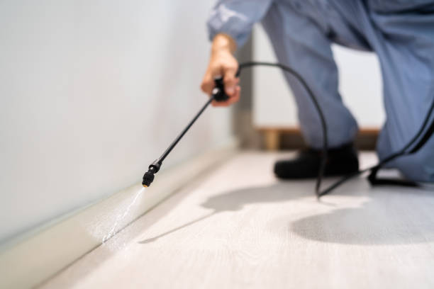 Bed Bug Pre-Treatment Preparation Assessment in Slater-Marietta