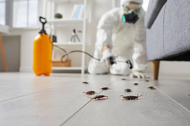 Post-Treatment Bed Bug Interceptor Monitoring in Slater-Marietta