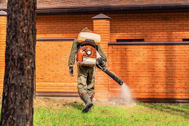 Bed Bug Clearance Verification and Documentation in Slater-Marietta